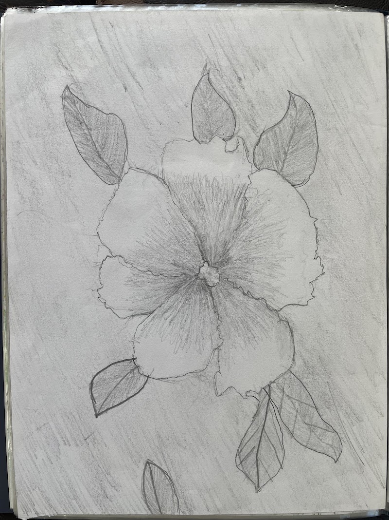 LAKSHMIS ART WORKSHOP photo 4