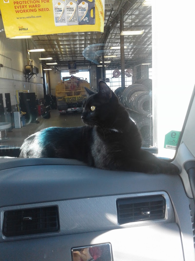 Southern Tire Mart at Pilot photo 4