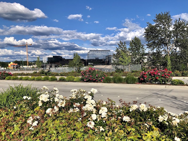 Spring District photo 5