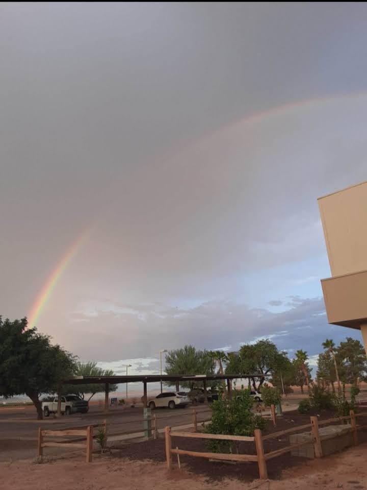University of Arizona Maricopa Agricultural Center photo 4