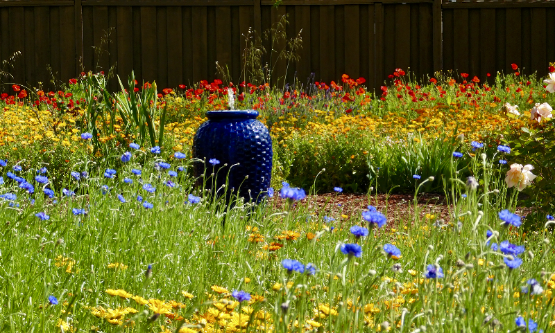Native Flower Circle Garden photo 3