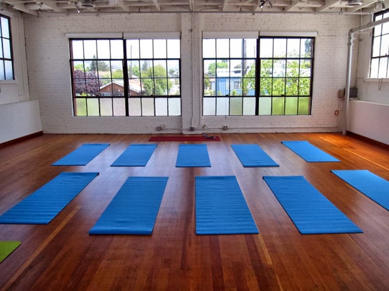 Tree of Life Yoga and Spine Therapy photo 4
