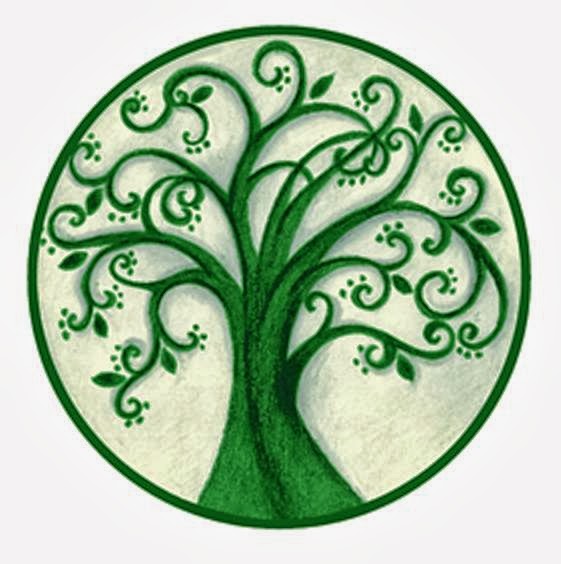 Tree of Life Yoga and Spine Therapy photo 3