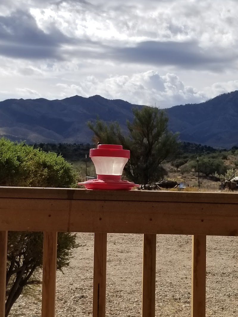 Upton's Hidden Pines B & B photo 5