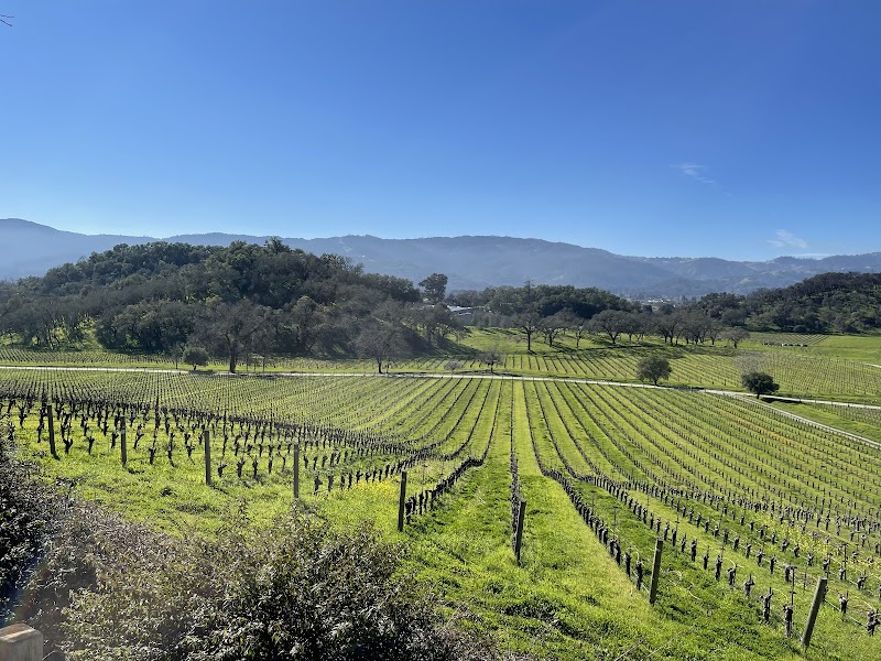 Joseph Phelps Vineyards photo 5