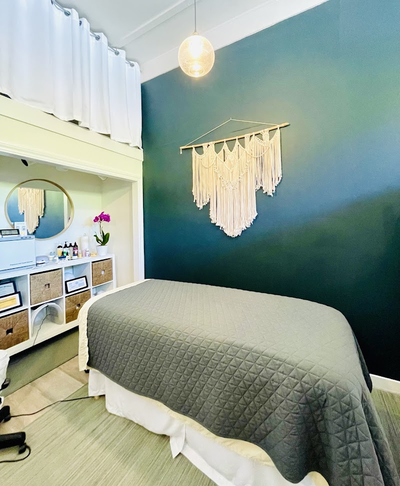 Marin Lymphatics- Integrative Beauty and Wellness photo 3