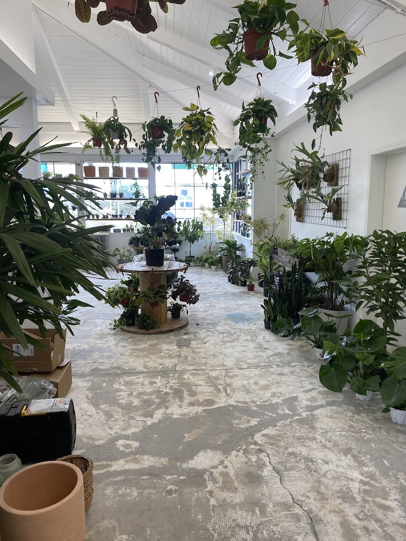 Photo of Leaf and Vine, Urban Plant Shop