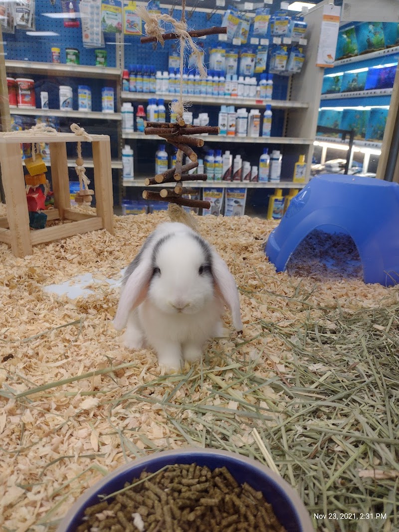 Pet Supermarket photo 3