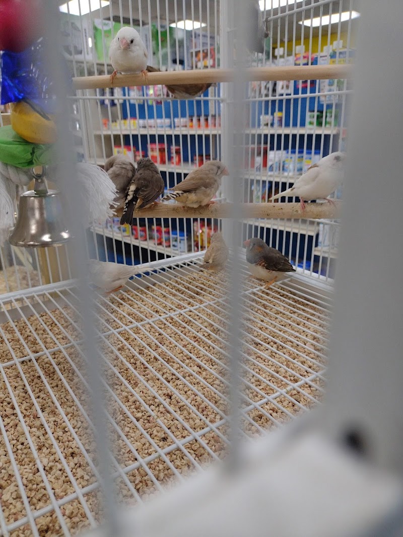 Pet Supermarket photo 2