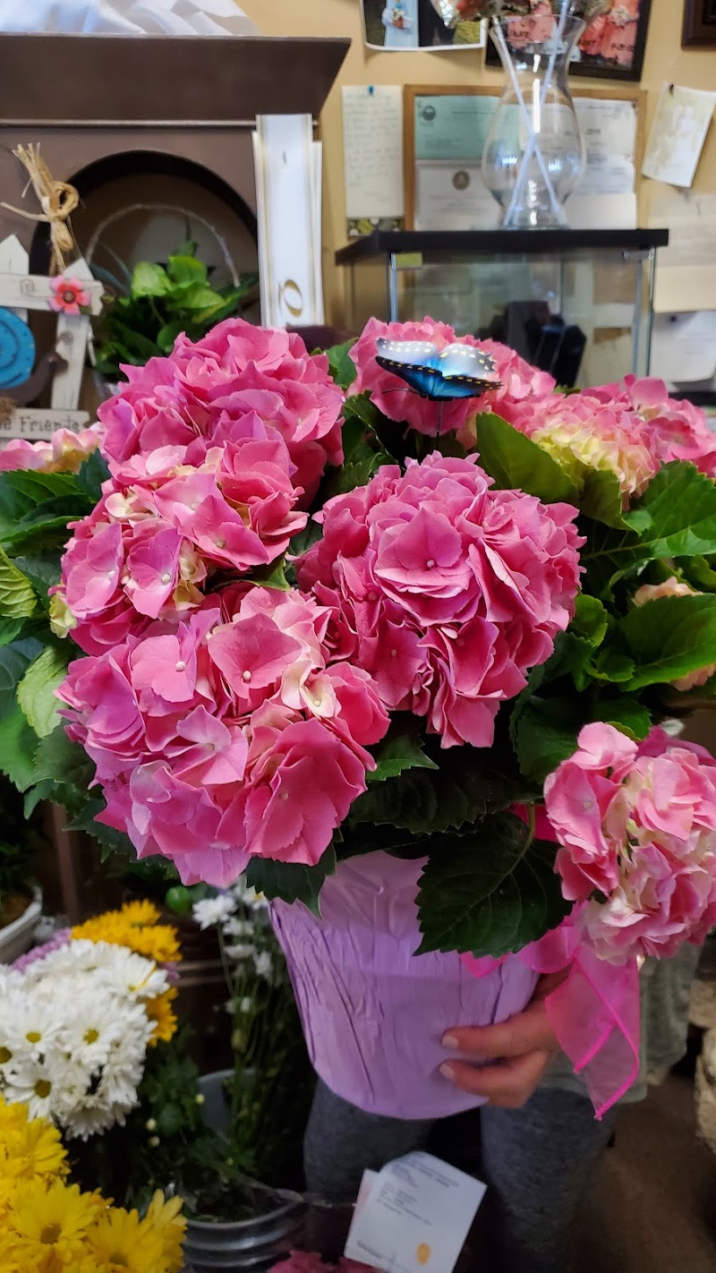 Sun City Center Flowers & Gifts photo 4
