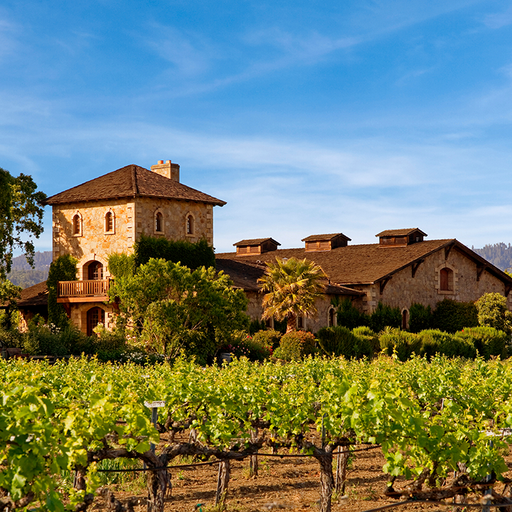 Photo of V. Sattui Winery