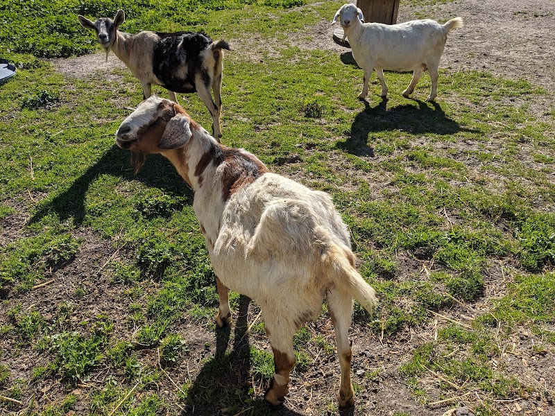 Elkus Ranch photo 3