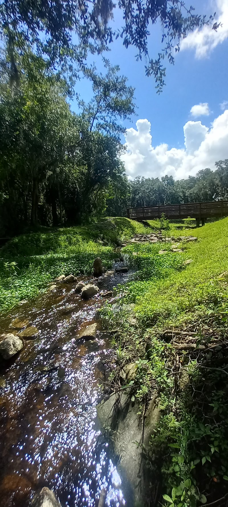 Cherry Street Park photo 3