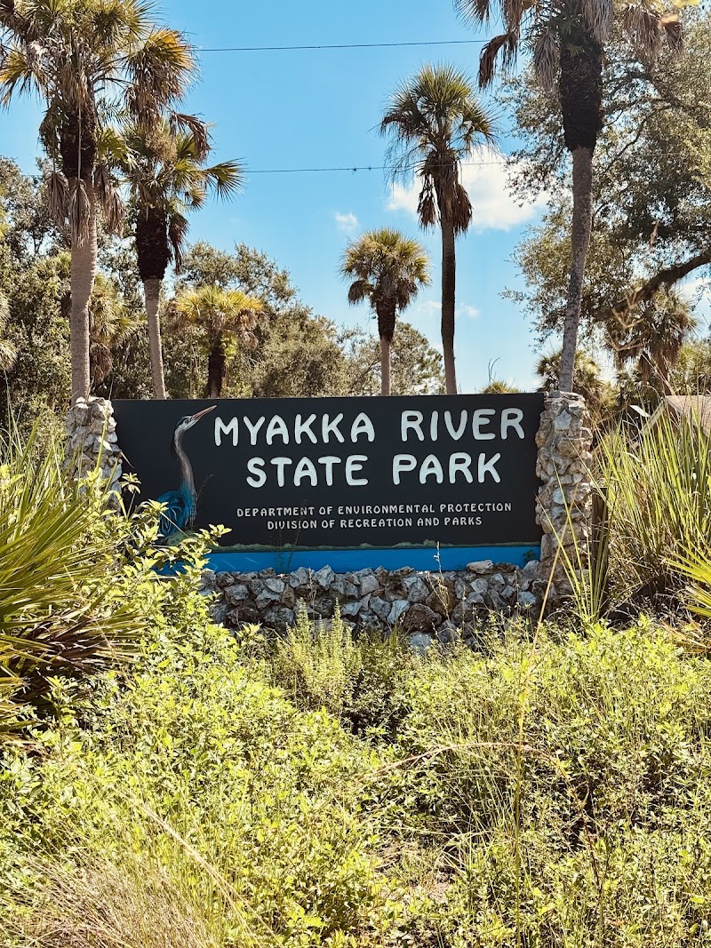 Myakka Canopy Walkway and Observation Tower photo 5