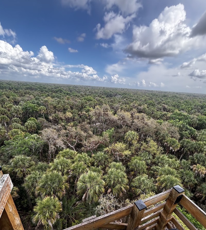 Myakka Canopy Walkway and Observation Tower photo 4