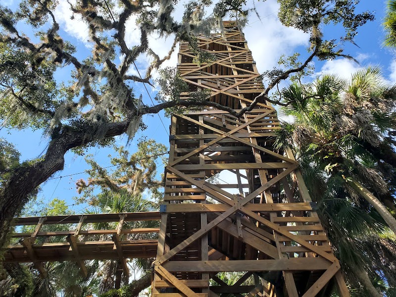 Myakka Canopy Walkway and Observation Tower photo 2