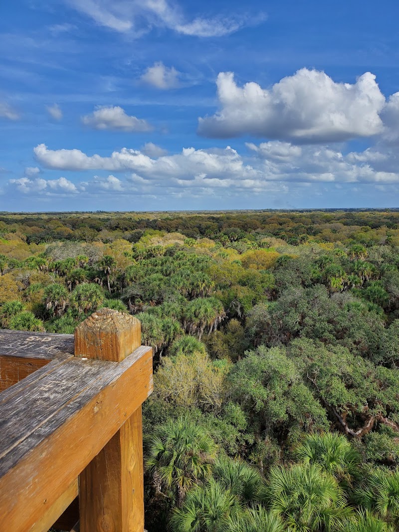 Myakka Canopy Walkway and Observation Tower photo 3
