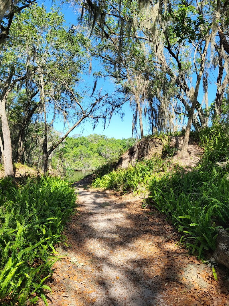 Photo of Medard Park/ Hillsborough County Parks