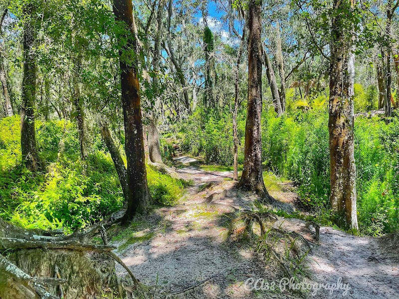 Medard Park/ Hillsborough County Parks photo 5
