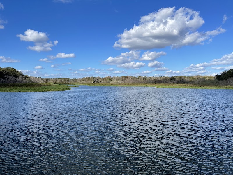 Medard Park/ Hillsborough County Parks photo 3