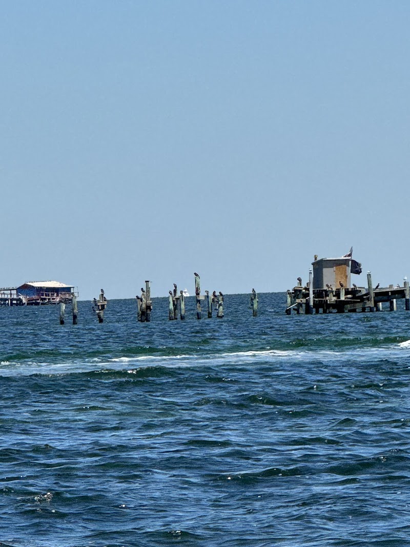 Freedom Boat Club - Port Richey II photo 2