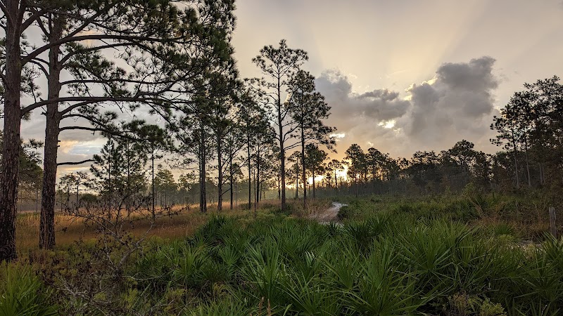 Chassahowitzka Wildlife Management Area photo 3