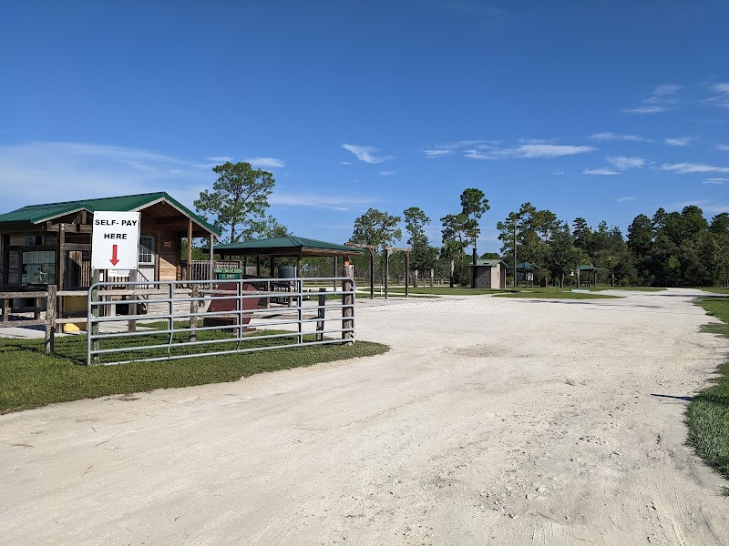 Photo of Chassahowitzka Wildlife Management Area
