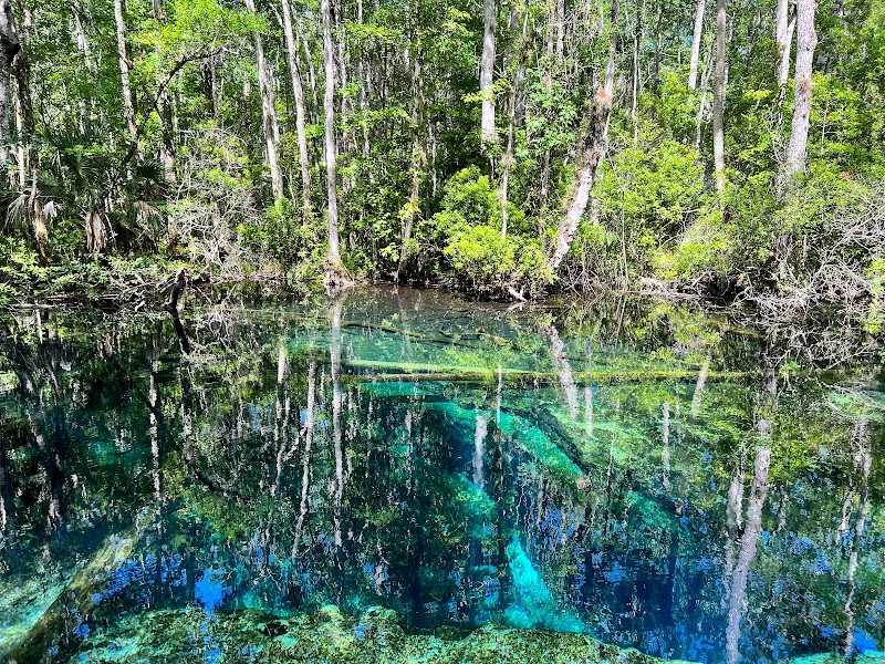 Chassahowitzka Wildlife Management Area photo 2
