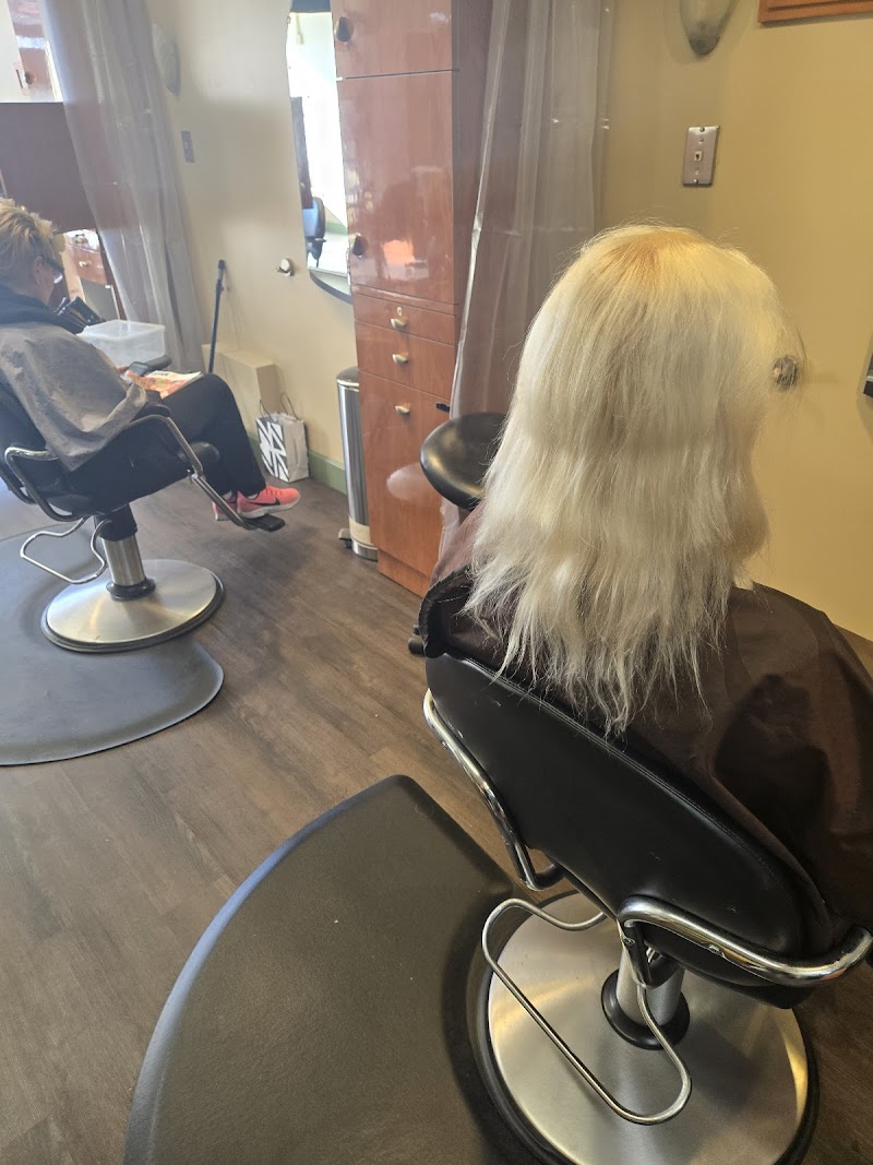 Hair Definition photo 2