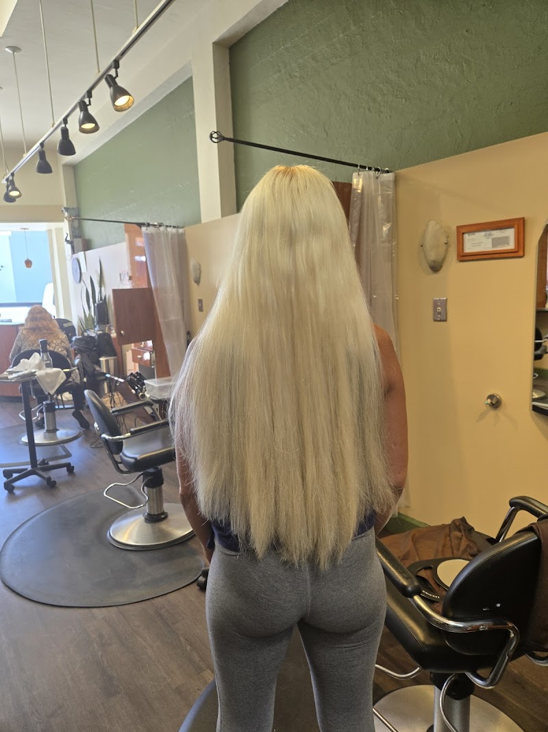 Photo of Hair Definition