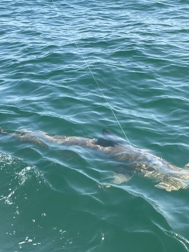 Reel Escapes Fishing Charters photo 5