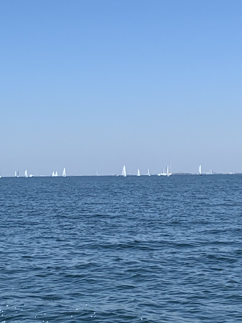 Little Harbor Watersports photo 3
