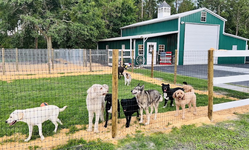 Photo of Southern Grooming and Boarding, LLC