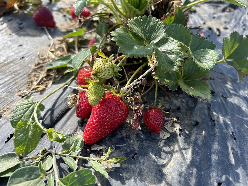 Tru2earth Farm photo 5