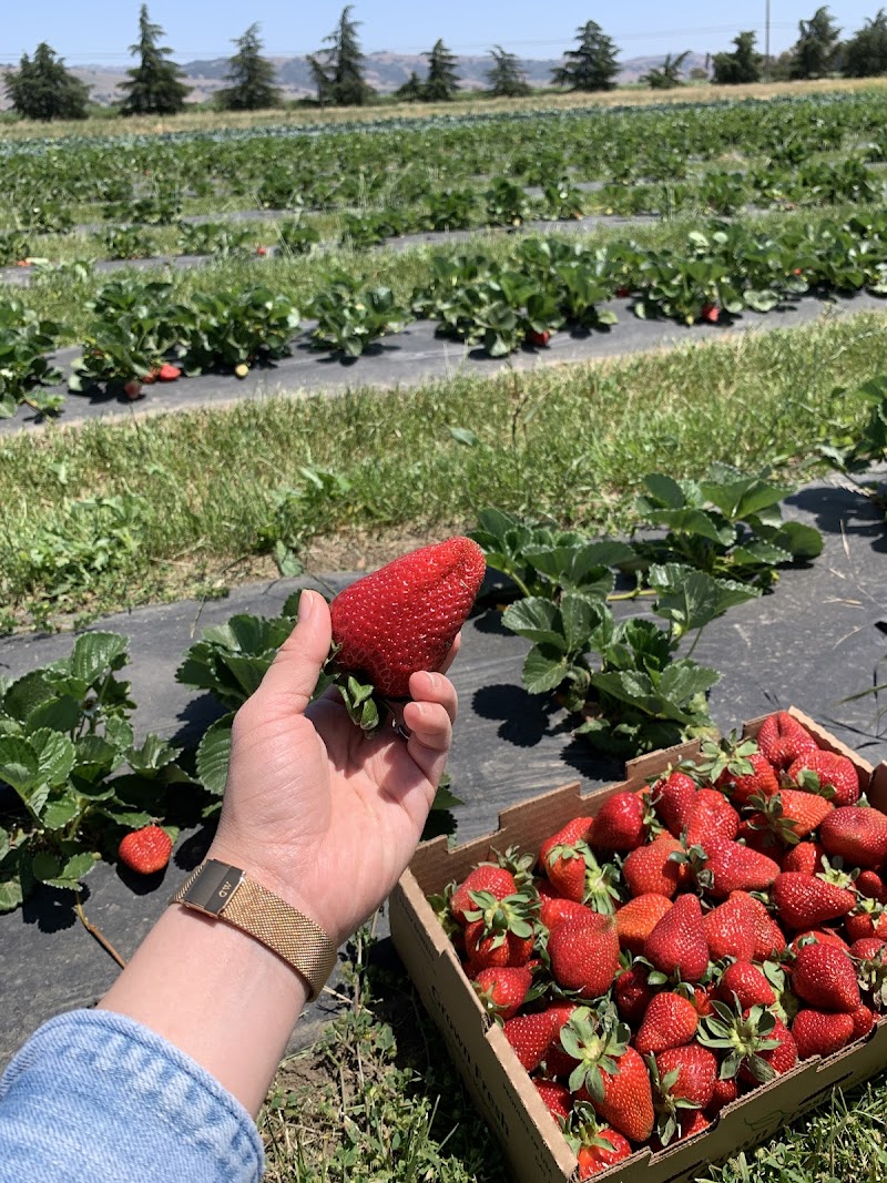Tru2earth Farm photo 3