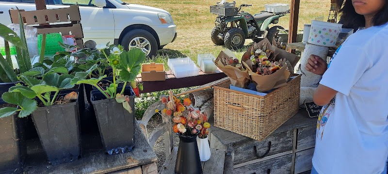 Photo of Tru2earth Farm