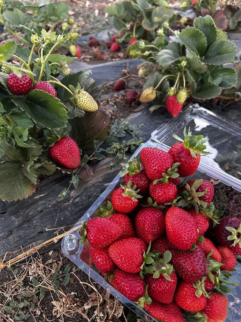 Tru2earth Farm photo 2