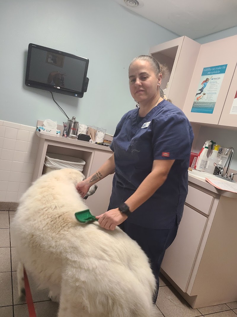 Animal Medical Clinic of Spring Hill photo 4