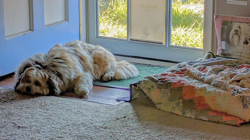 Coastside Veterinary Clinic, Inc. photo 3