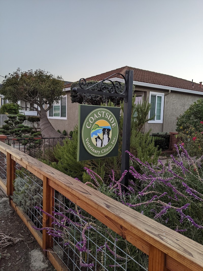 Coastside Veterinary Clinic, Inc. photo 2