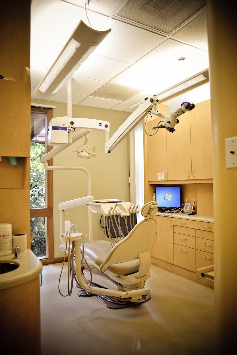Bayside Endodontics photo 5