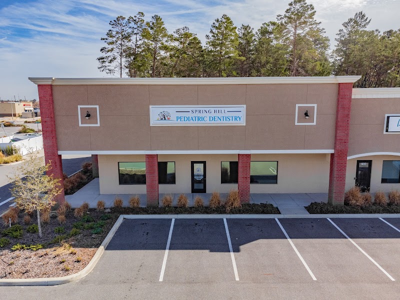Spring Hill Pediatric Dentistry + Orthodontics photo 3