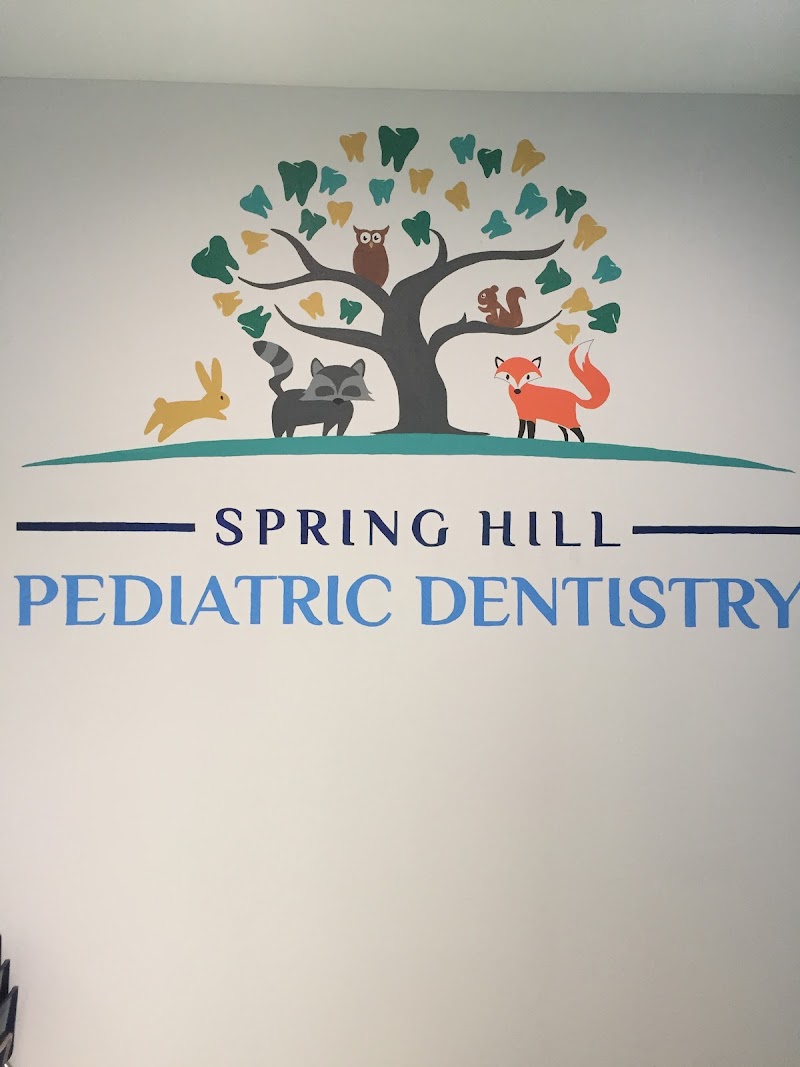 Spring Hill Pediatric Dentistry + Orthodontics photo 5