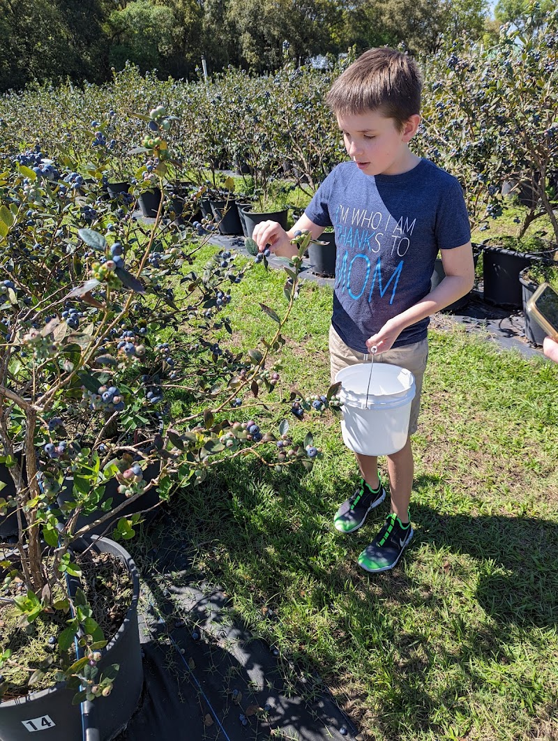 Wish Farms photo 3