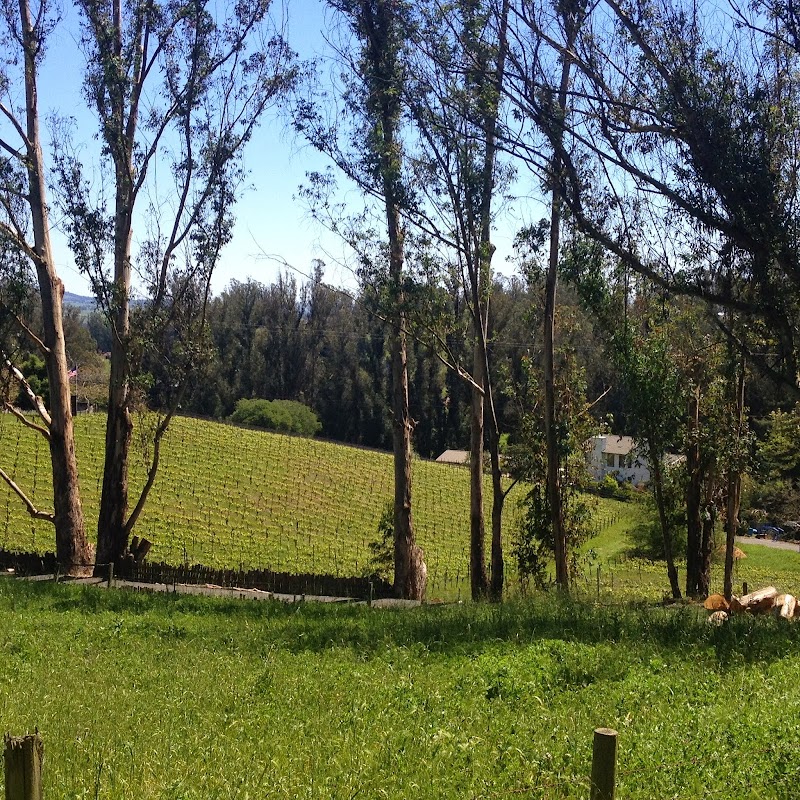 Photo of Libarle Vineyards