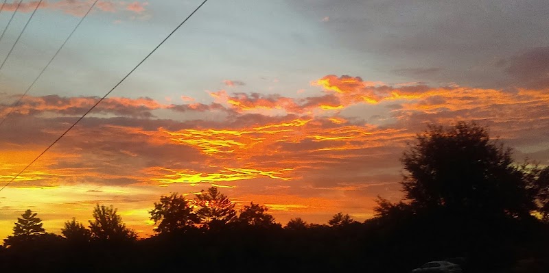 Hernando County Association-Realtors photo 2