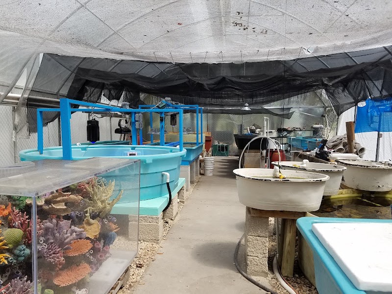 Photo of Seaview Wholesale Marine Life