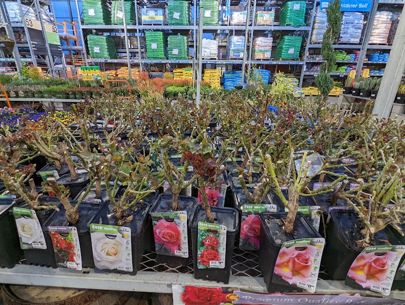 Garden Center at The Home Depot photo 2