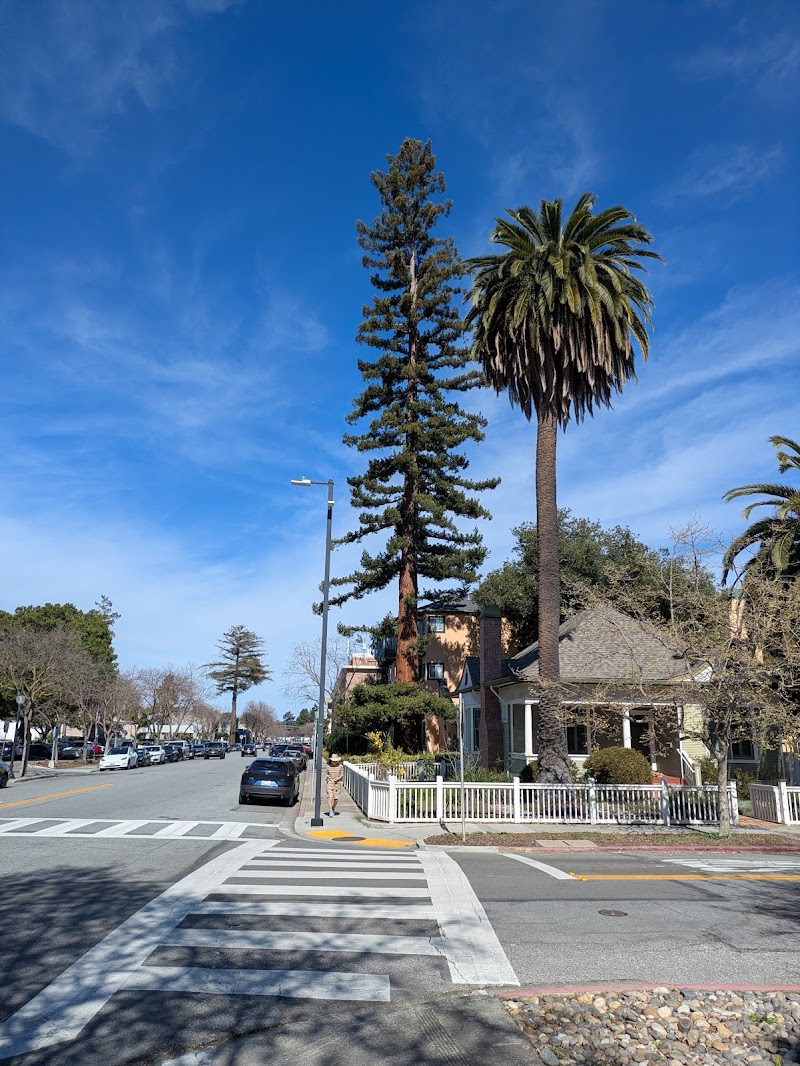 Photo of Lot 7