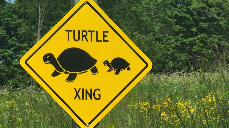 Photo of Turtle Island Monument